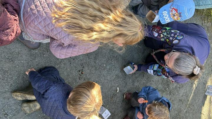 Familiespejder finder insekter
